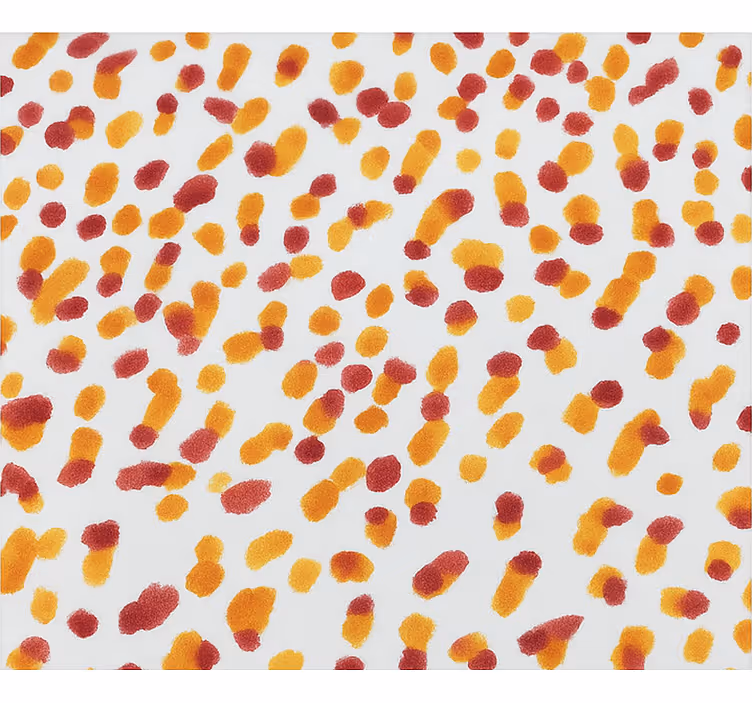 Orange and red dots teenage blind - TenStickers