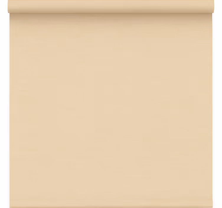 Blind office simple beige sheer - TenStickers