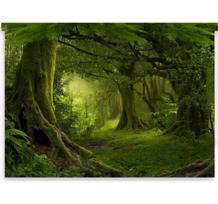 Blind trees lush woodland retreat - TenStickers