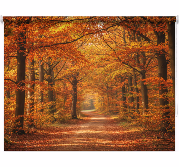 Blind trees autumn trail - TenStickers