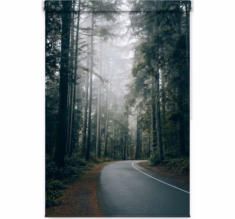 Blind trees on foggy pine road - TenStickers
