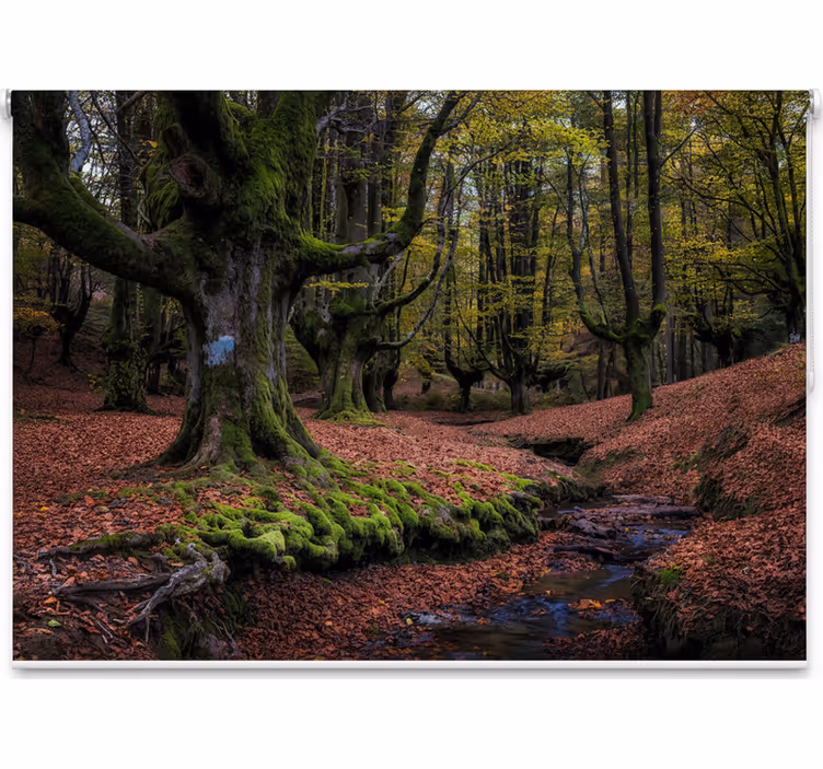 Blind trees enchanted autumn grove - TenStickers