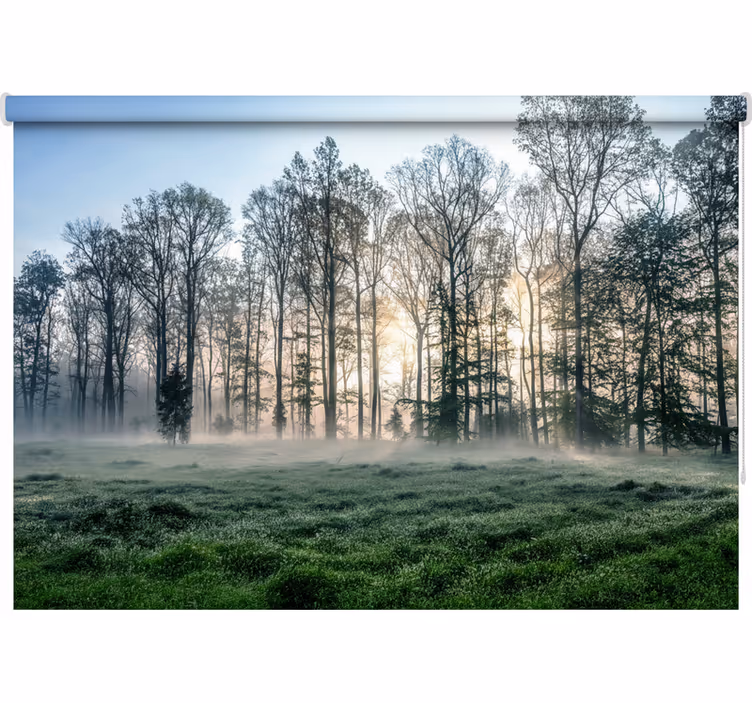 Blind trees in the misty morning meadow - TenStickers