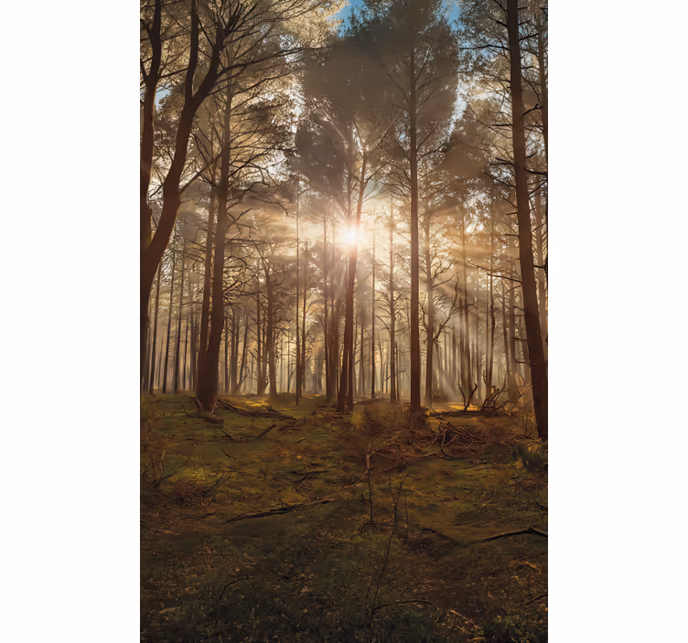 Blind trees golden wildlife retreat - TenStickers