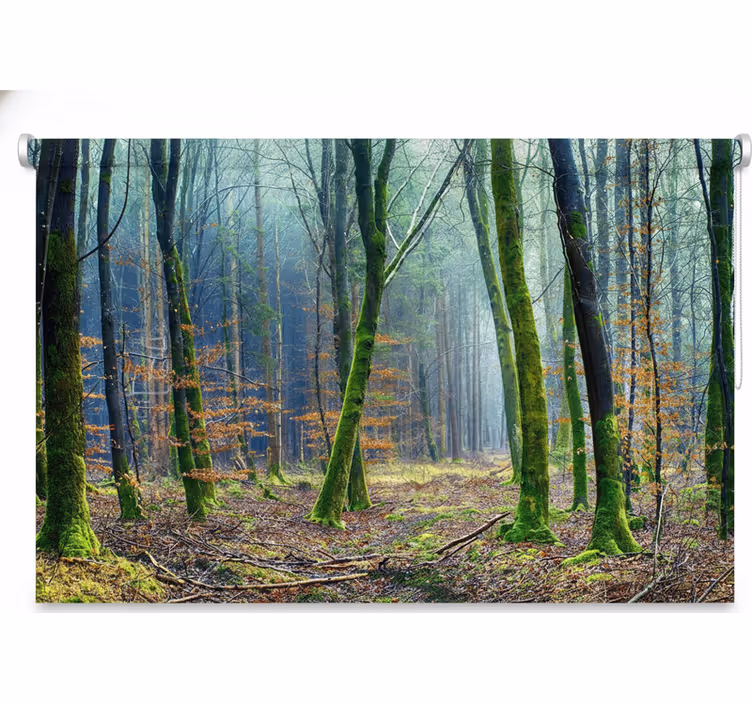 Blind trees foggy forest japandi - TenStickers