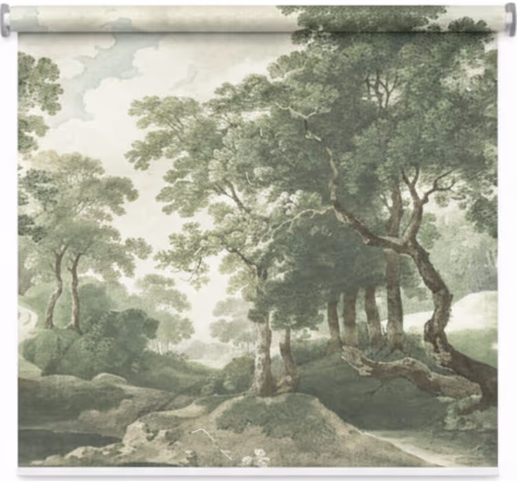 Blind trees classic timeless nature - TenStickers
