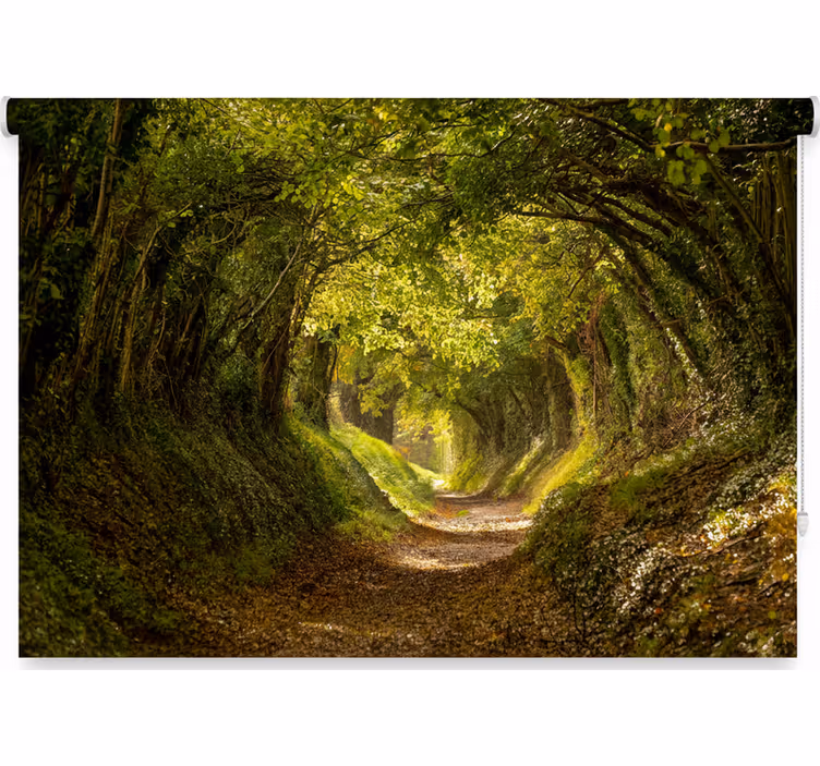 Blind trees immersive forest mural - TenStickers