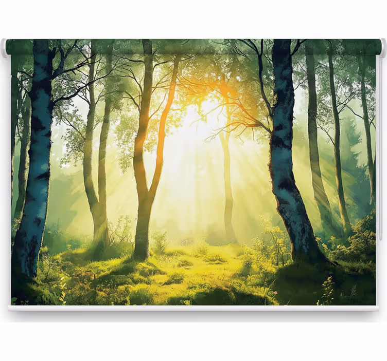 Blind trees sunlit birch wall art - TenStickers