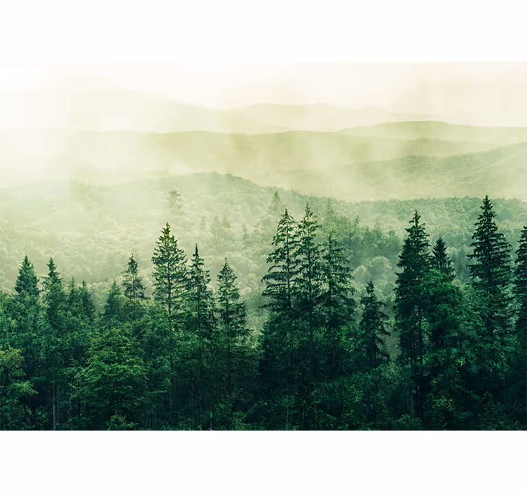 Blinds in a kitchen green forest hill treetops - TenStickers