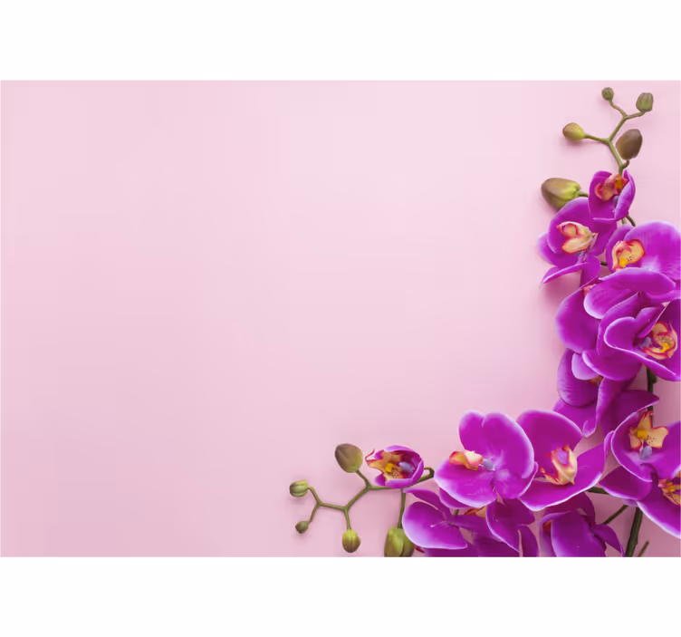 Blinds in a kitchen with pink orchid background - TenStickers