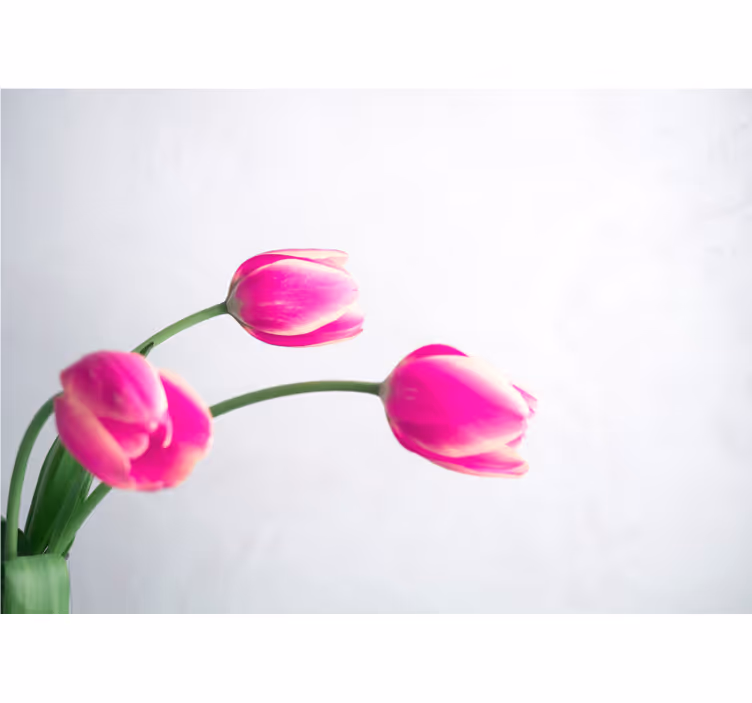 Blinds in a kitchen with three white tulips - TenStickers