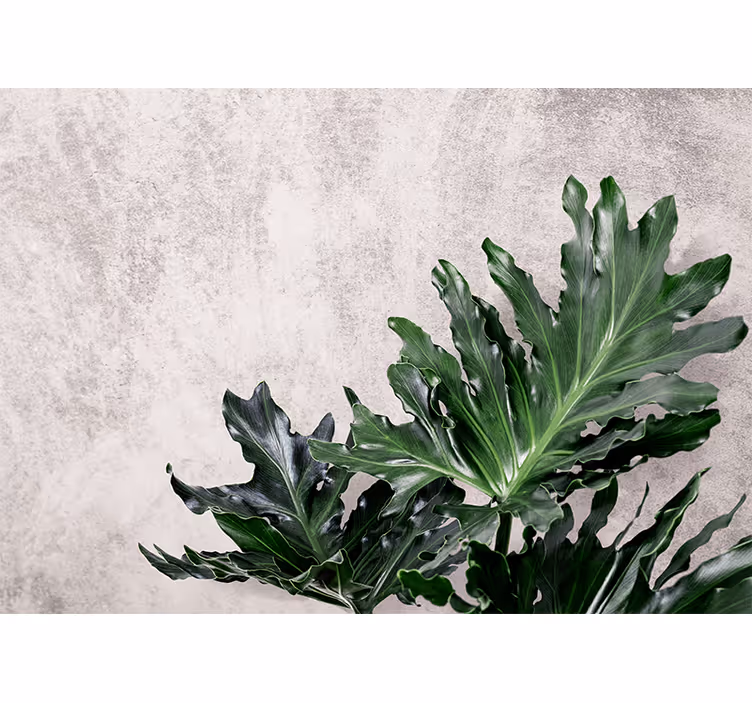 Blinds in a kitchen with green leaves on concrete - TenStickers