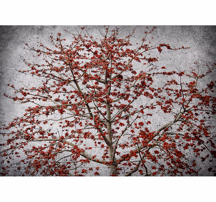 Blinds in a kitchen with a minimalistic tree and red flowers - TenStickers