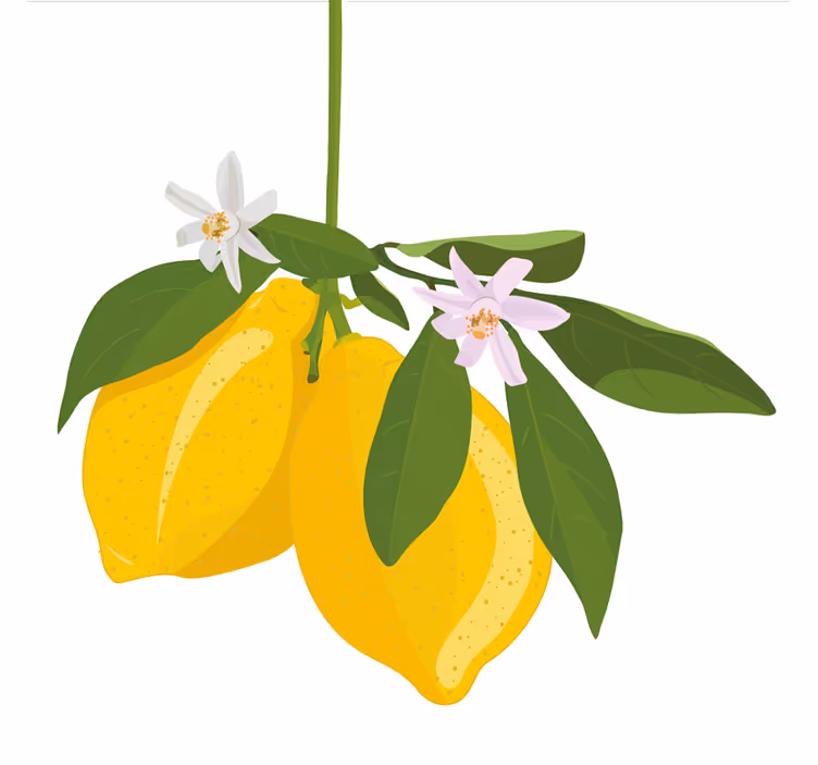 Lemon tree blinds in a kitchen - TenStickers