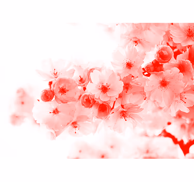 White roller blind with red bush pattern - TenStickers