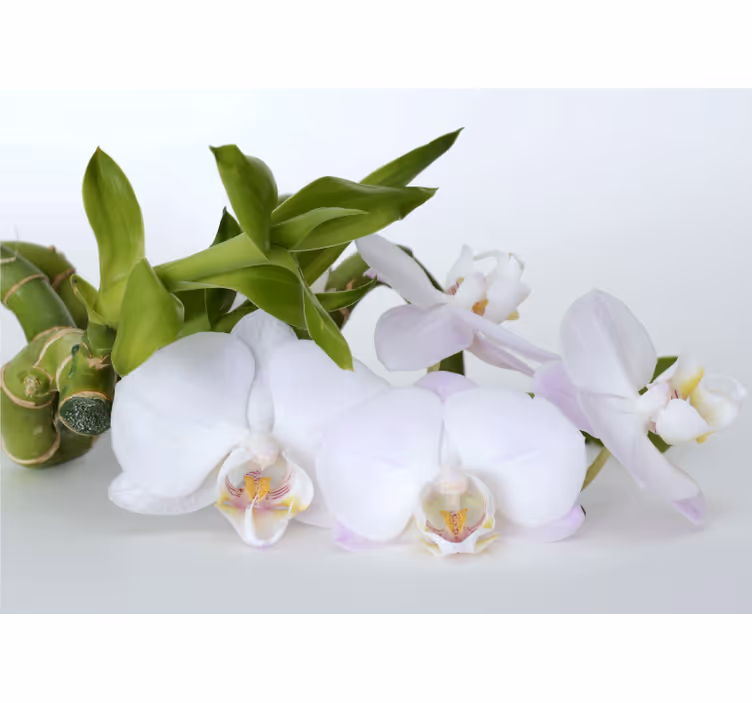 White roller blind white green orchid - TenStickers