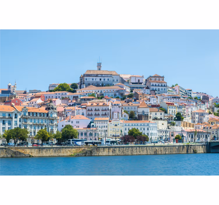 Coimbra living room blind - TenStickers