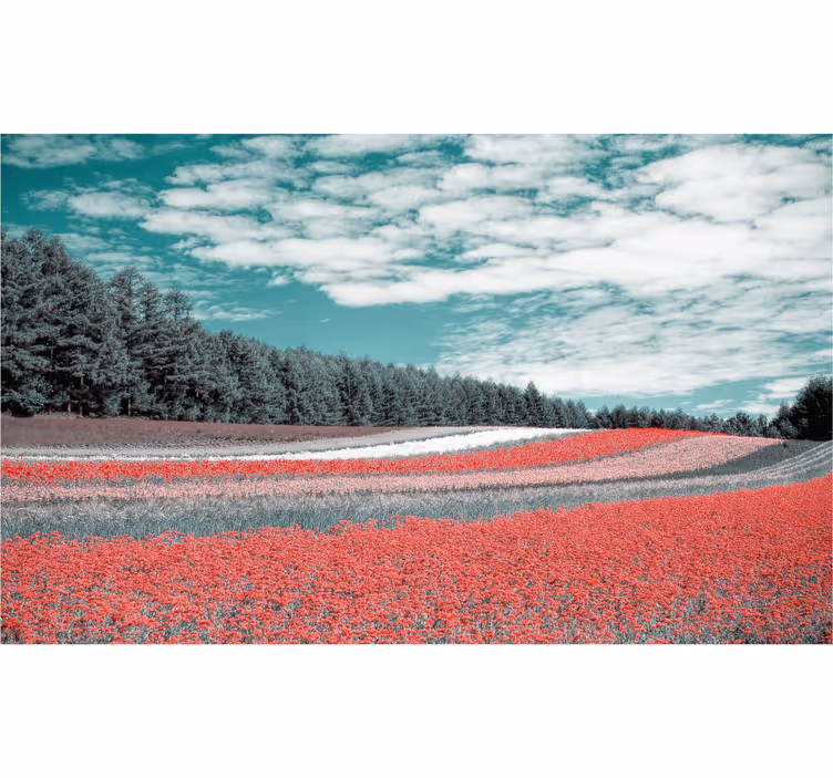 Living room blind different types of flower fields - TenStickers