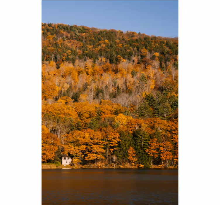 Living room blind lake and golden trees - TenStickers