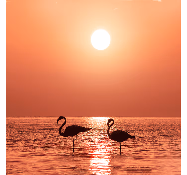 Living room blind featuring a beautiful flamingo sunset - TenStickers