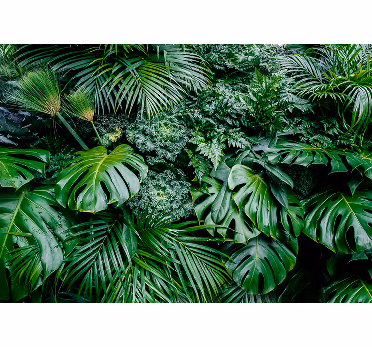 Green roller blind rainy jungle pattern - TenStickers