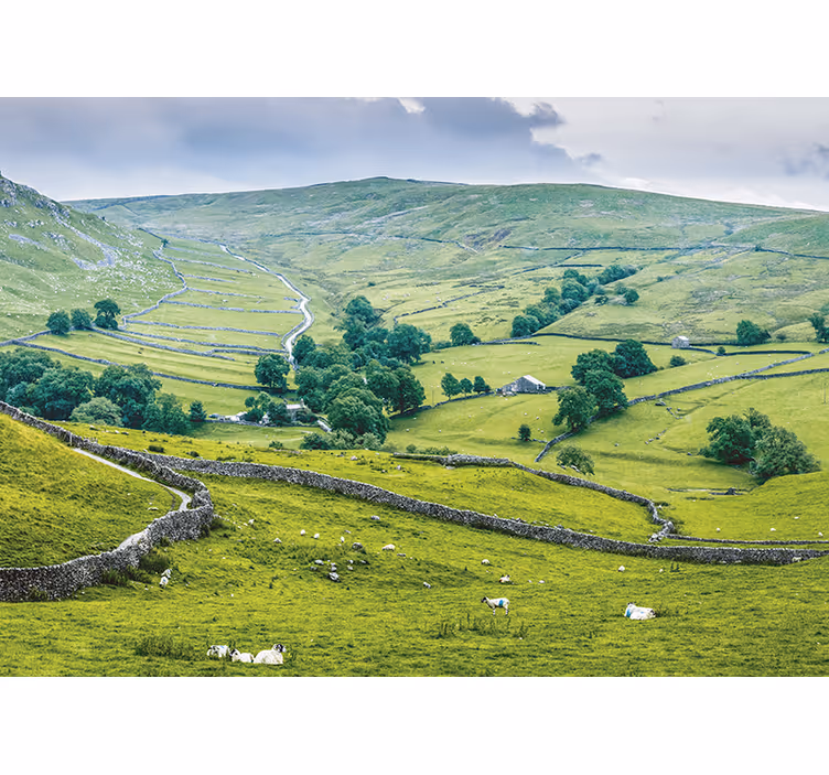Living room blind english countryside design - TenStickers