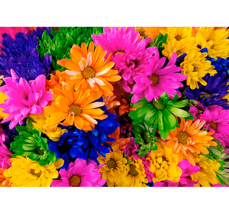 Living room blind in colorful chrysanthemum design - TenStickers
