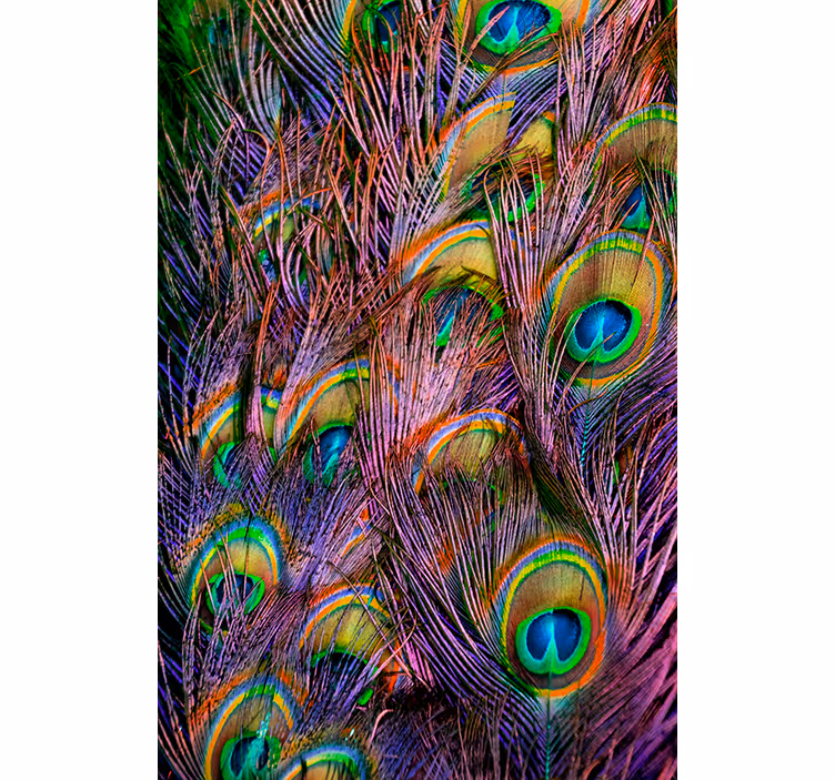 Living room blind in peacock feather design - TenStickers