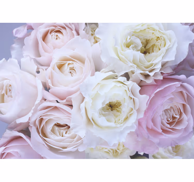 Living room blind with close-up rose design - TenStickers
