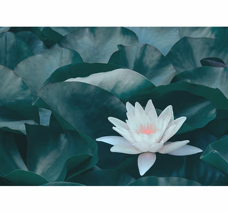 Living room blind zen white lotus flower - TenStickers