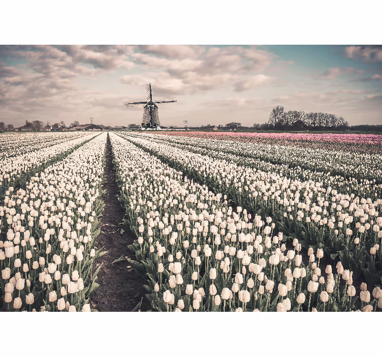 Living room blind tulip field with windmill design - TenStickers
