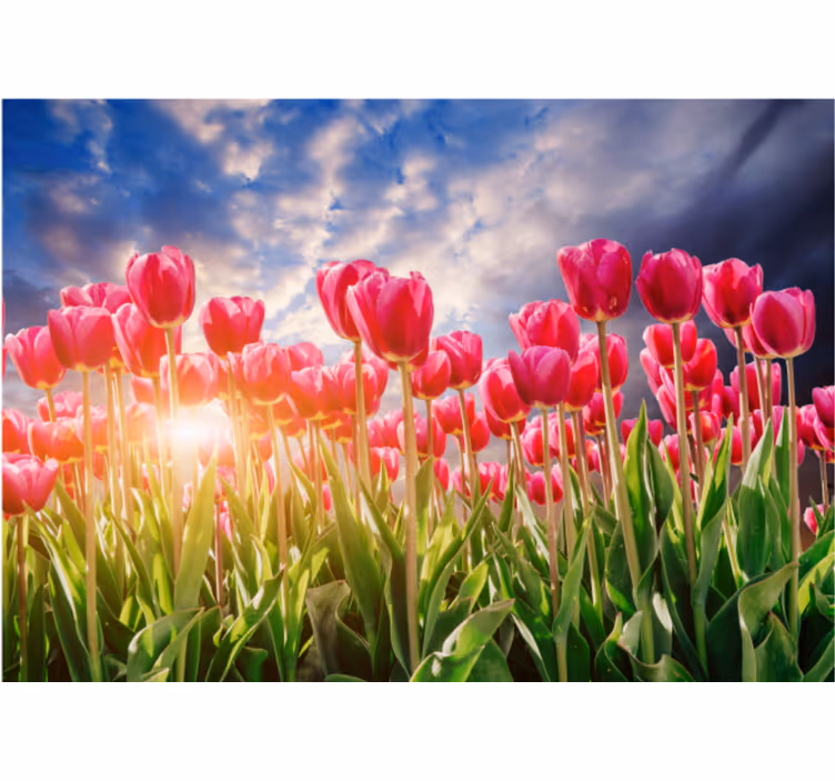 Living room blind flowery sunset design - TenStickers