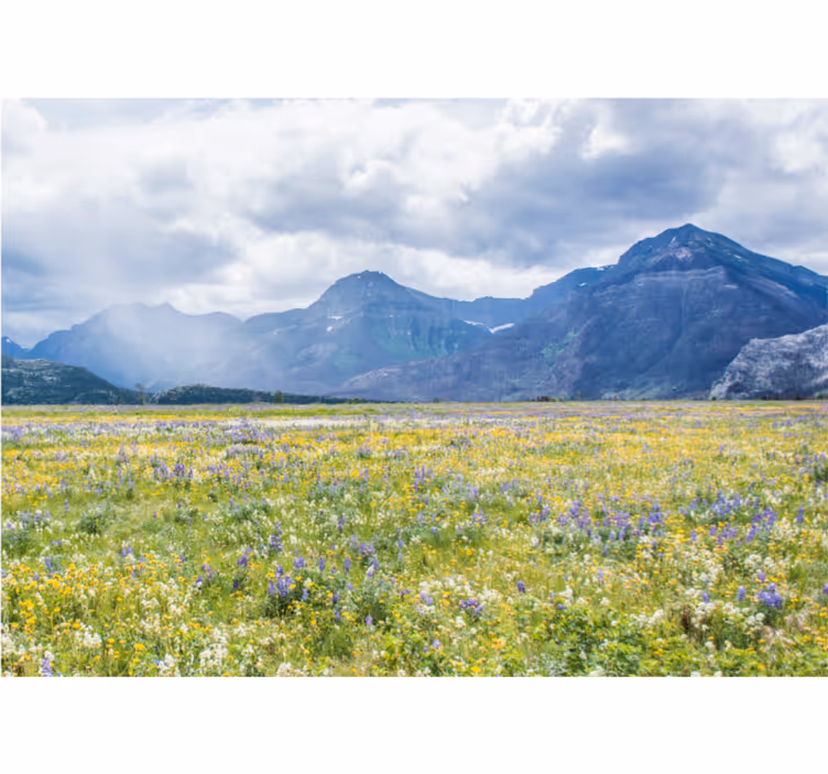 Living room blind small flower field design - TenStickers