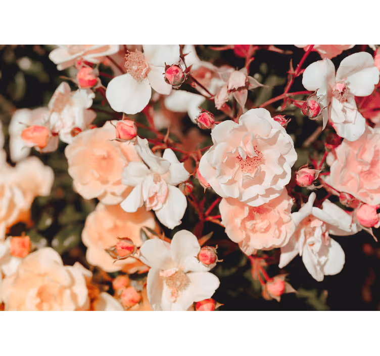 Living room blind with abundant flowers - TenStickers