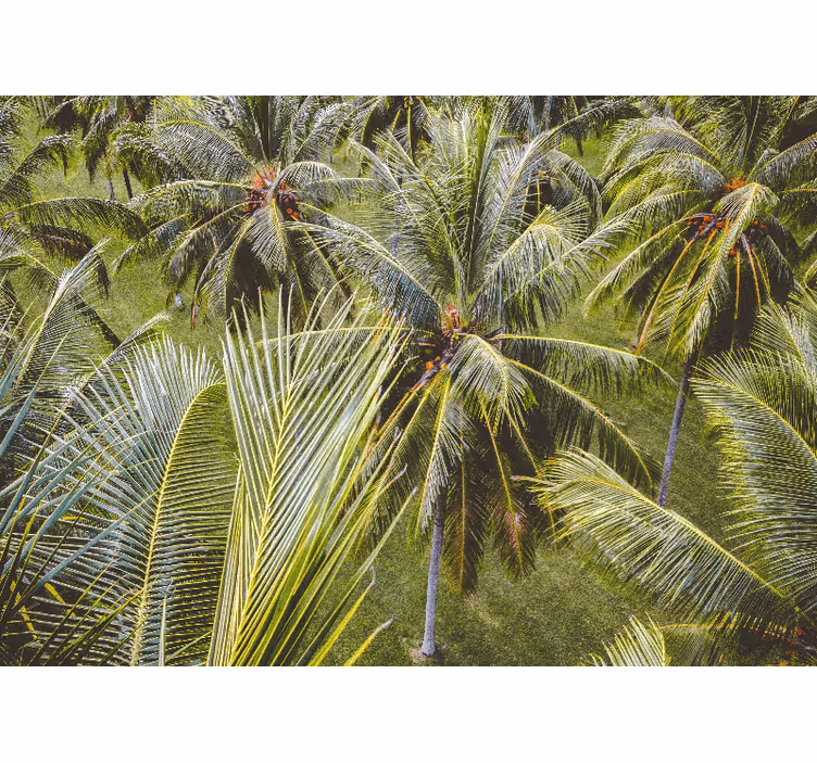 Living room blind green palm tree forest view - TenStickers