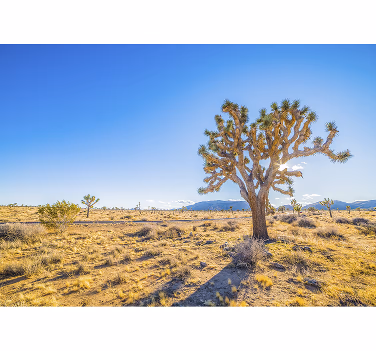 Living room blind in desert design with a tree - TenStickers