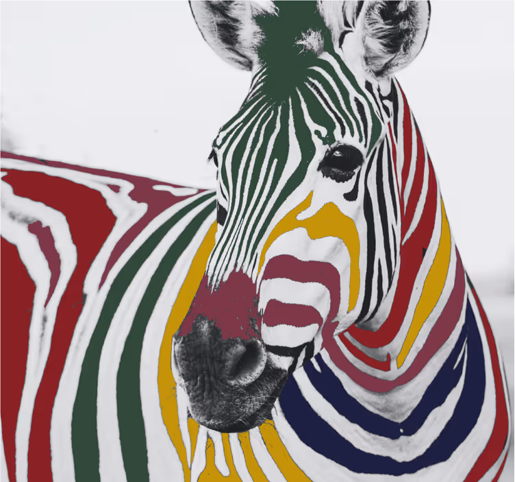 Living room blind colorful zebra artwork - TenStickers
