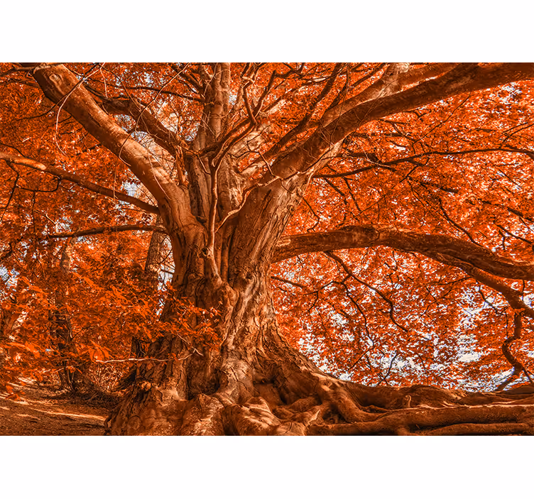 Living room blind big beautiful autumn tree - TenStickers
