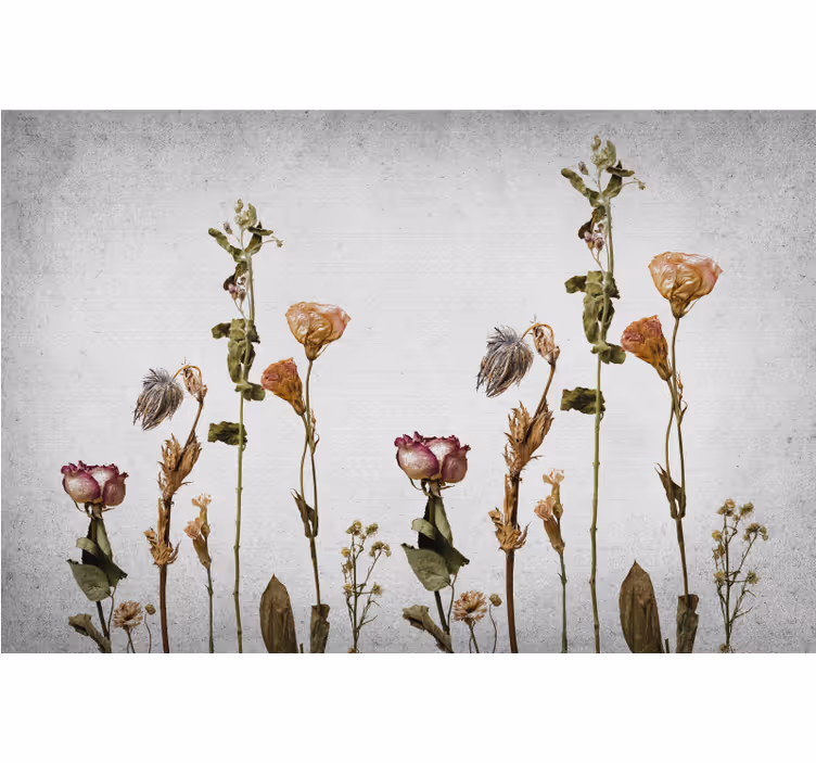 Living room blind scandinavian style dried plants - TenStickers