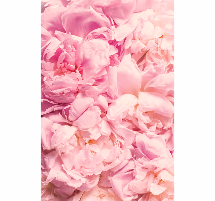 Bedroom blind with realistic pink peony flowers - TenStickers