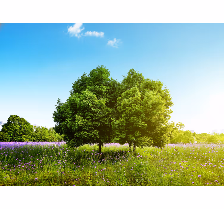 Living room blind tall spring tree design - TenStickers