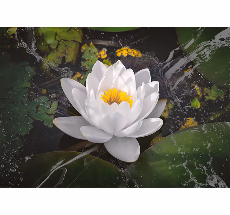 Bedroom blind white and yellow lotus design - TenStickers
