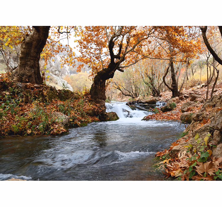 Bedroom blind swift river autumn forest - TenStickers