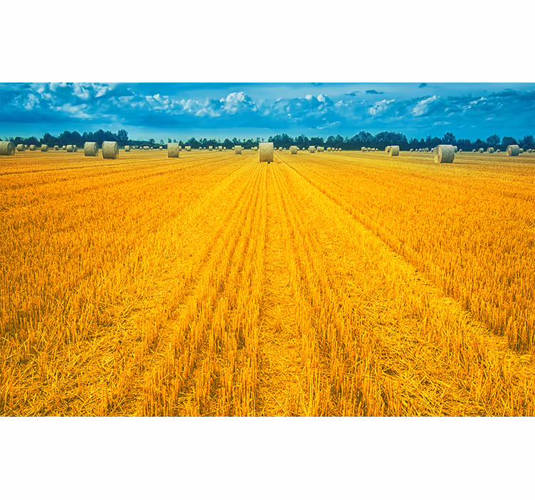 Bedroom blind in polish countryside yellow - TenStickers