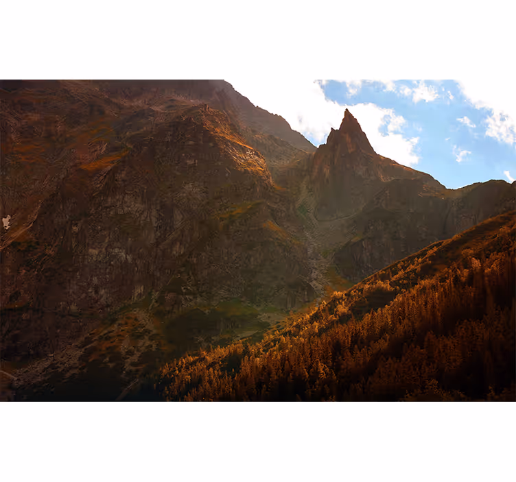 Bedroom blind polish tatra mountain view - TenStickers