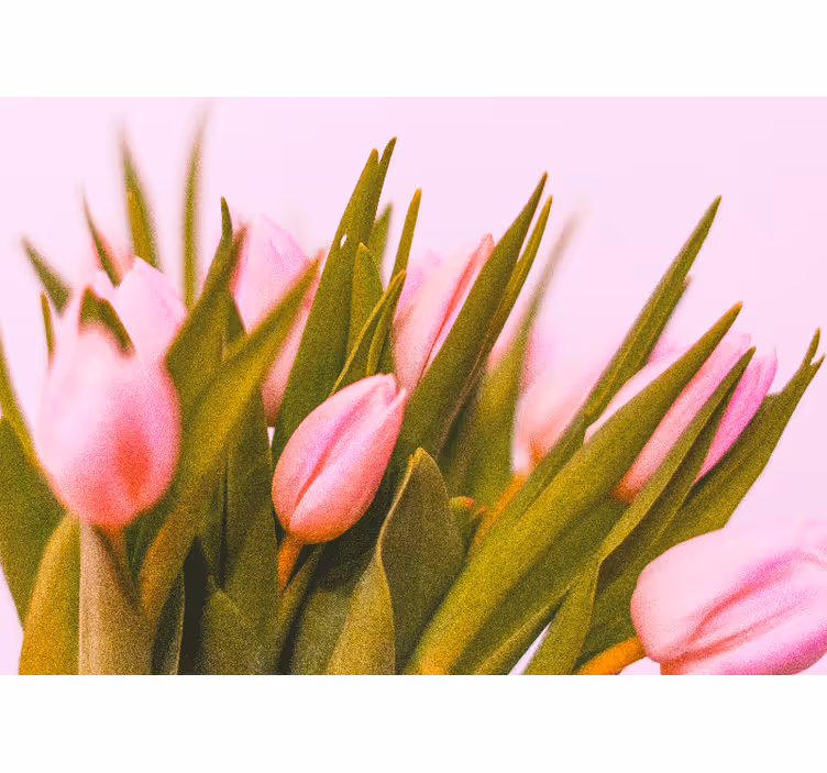 Bedroom blind with tulips on a pink background - TenStickers