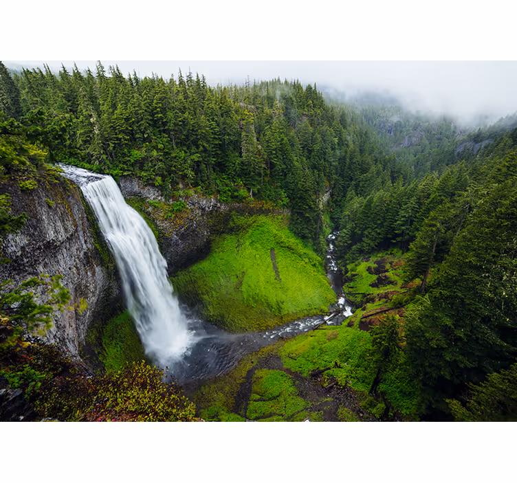 Bedroom blind tranquil waterfall in green forest - TenStickers