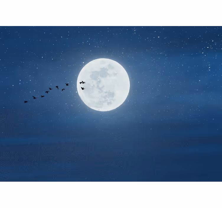 Living room blind full moon and sky - TenStickers
