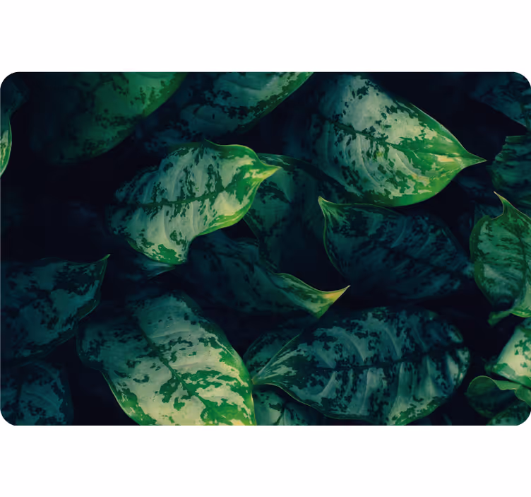 Maranta leaf bedroom blind - TenStickers