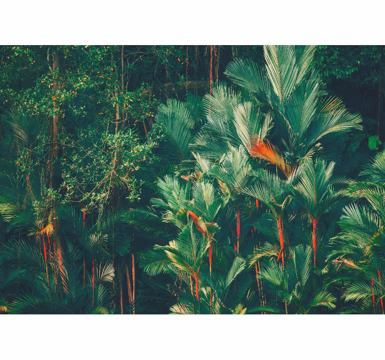 Jungle morning bedroom blind - TenStickers